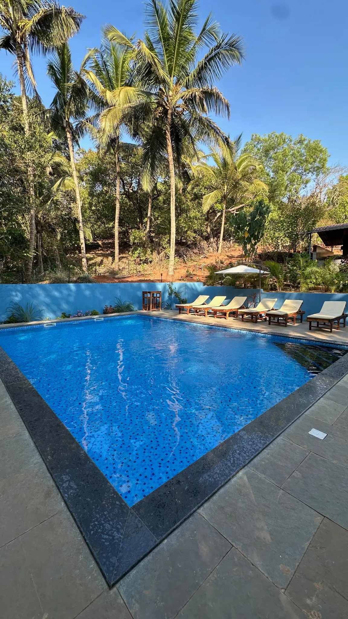 The swimming pool with sun loungers, framed by palms, at The Haven Goa