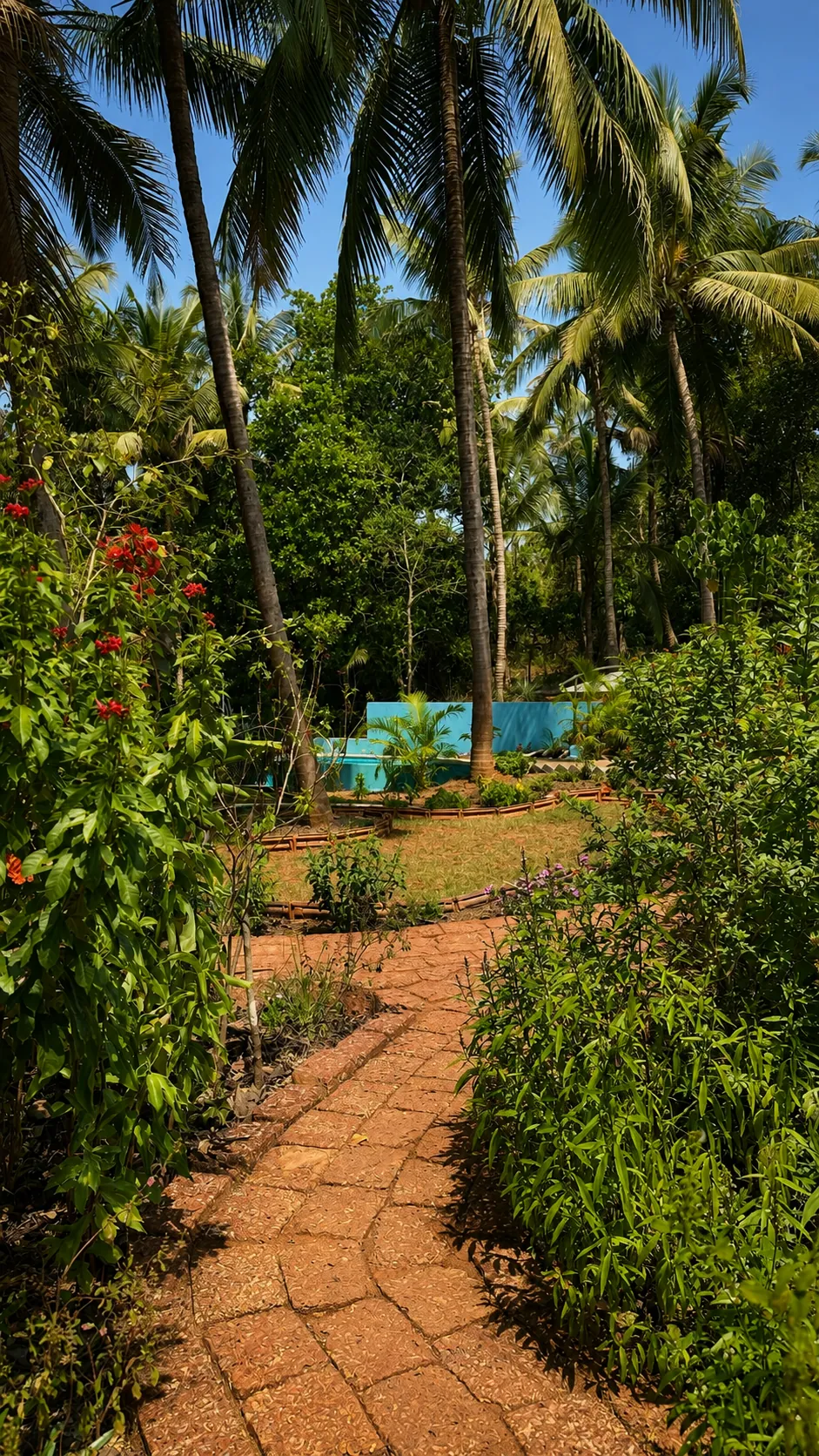A brick garden path winding through palms and tropical planting toward the pool at The Haven Goa