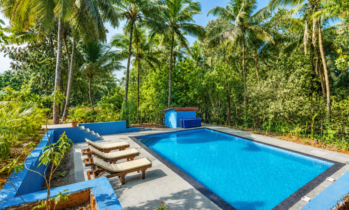 The swimming pool framed by palms with wooden loungers on the deck at The Haven Goa